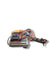 Centralina portafusibii scatola fusibili Alfa Romeo 159 1.9 JTD (2011) COD:50513644 - F&P CRASH SRLS - Ricambi Usati