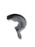 Passaruota Posteriore Sinistro Citroen C4 Picasso (2010 - 2018) COD:9675949080 - F&P CRASH SRLS - Ricambi Usati