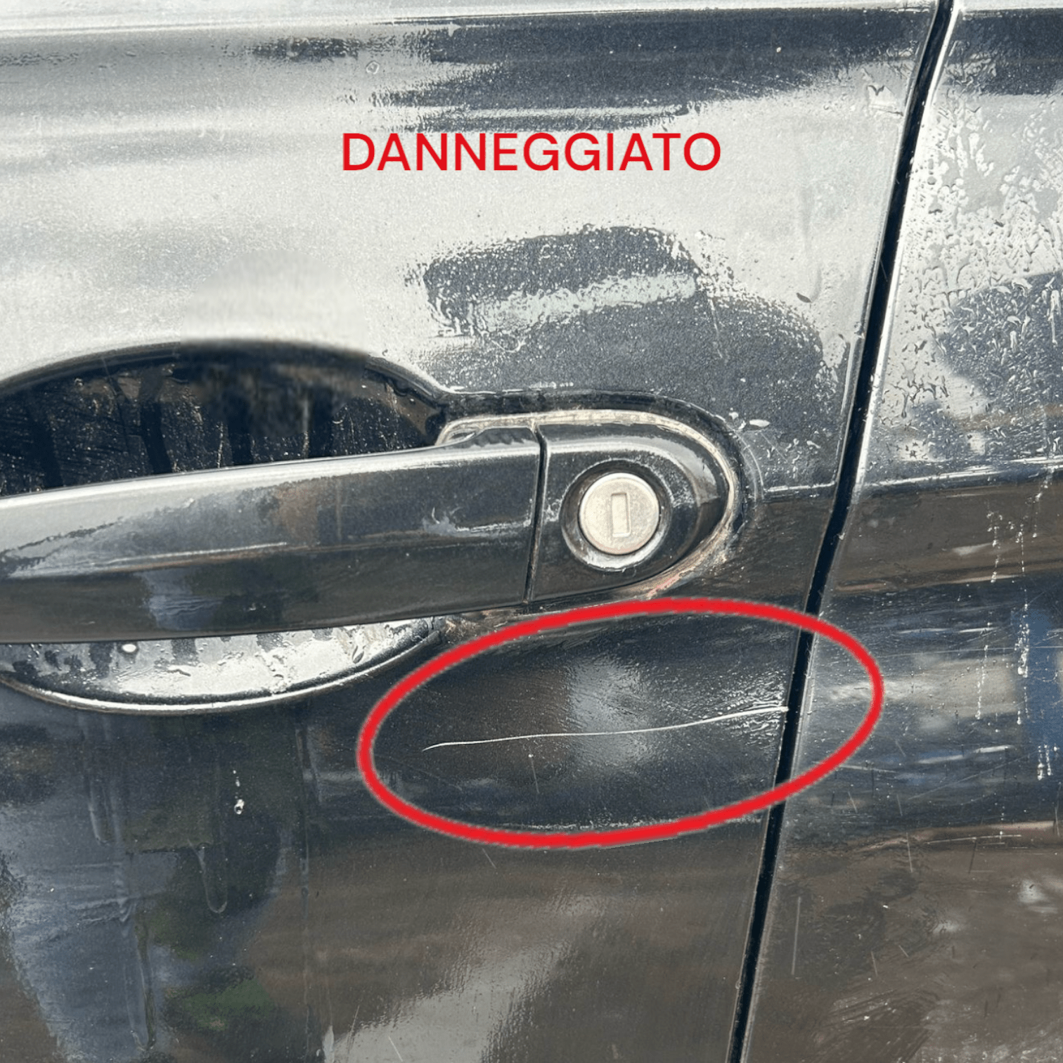 Portiera Anteriore Sinistra Nera Bmw Serie 3 F30 Berlina (2012 > 2019) Porta / Sportello - F&P CRASH SRLS - Ricambi Usati